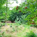 度假居 10033-1-rorvig-hjortevej-17