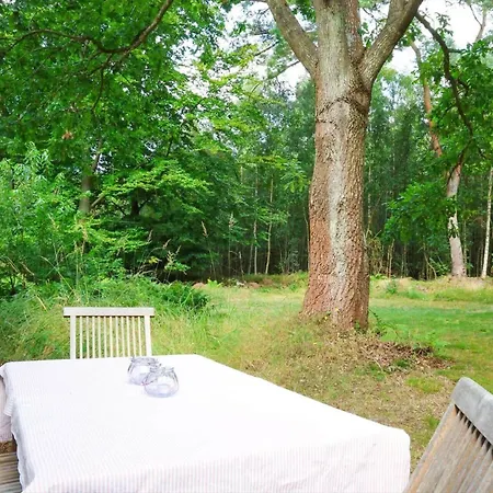 Σπίτι διακοπών 10033-1-rorvig-hjortevej-17 *