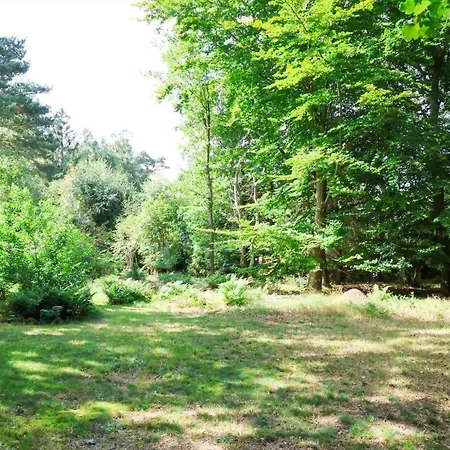 10033-1-rorvig-hjortevej-17