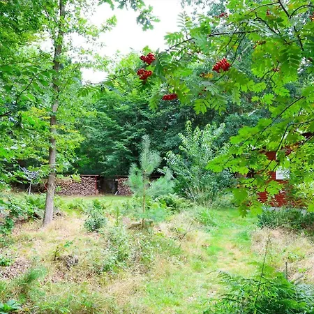 10033-1-rorvig-hjortevej-17 *